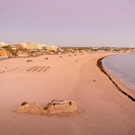 Seaside Serenity